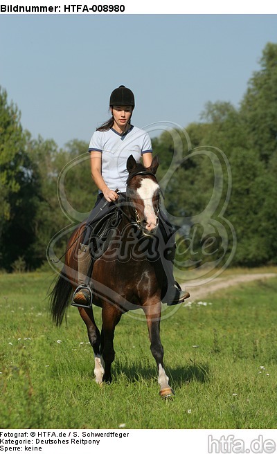 Frau reitet Deutsches Reitpony / woman rides pony / HTFA-008980