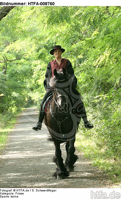 Frau reitet Friese / woman rides friesian horse / HTFA-008760