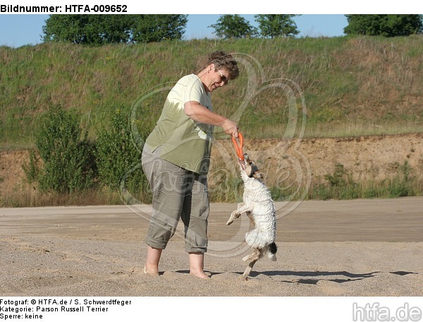Frau spielt mit Parson Russell Terrier / woman plays with PRT / HTFA-009652