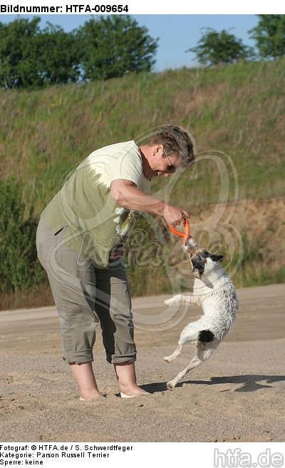 Frau spielt mit Parson Russell Terrier / woman plays with PRT / HTFA-009654