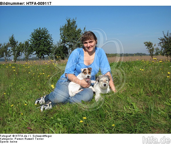 Frau mit Parson Russell Terriern / woman with PRT / HTFA-009117