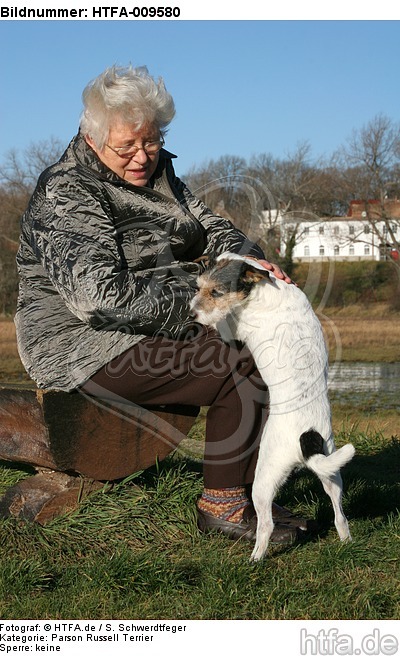 Frau streichelt Parson Russell Terrier / woman is fondling PRT / HTFA-009580