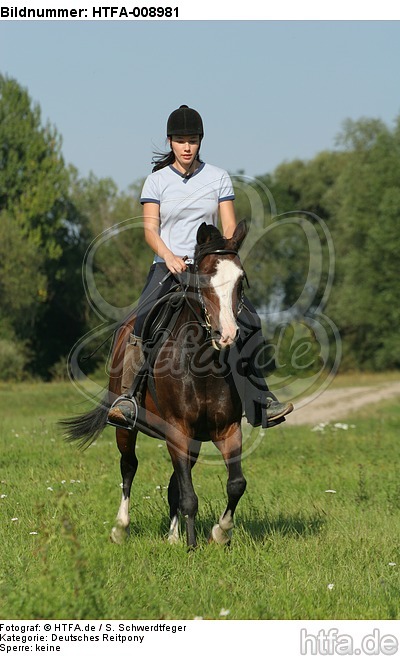 Frau reitet Deutsches Reitpony / woman rides pony / HTFA-008981