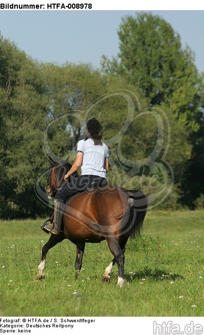 Frau reitet Deutsches Reitpony / woman rides pony / HTFA-008978