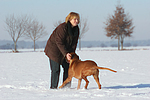 Frau mit Rhodesian Ridgeback / woman with Rhodesian Ridgeback