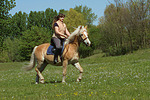 Frau reitet Haflinger / woman rides haflinger horse