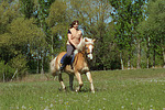 Frau reitet Haflinger / woman rides haflinger horse