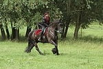 Frau reitet Friese / woman rides friesian horse