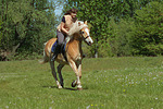 Frau reitet Haflinger / woman rides haflinger horse