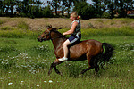 Isländer / icelandic horse