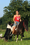 Shetland Pony und Border Collie / Shetland Pony and Border Collie