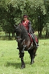 Frau reitet Friese / woman rides friesian horse