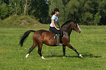 Frau reitet Deutsches Reitpony / woman rides pony