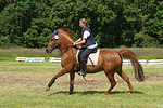 Frau reitet Deutsches Reitpony / woman rides pony