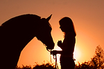 Frau und Deutsches Reitpony im Abendlicht / woman and pony