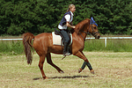 Frau reitet Deutsches Reitpony / woman rides pony