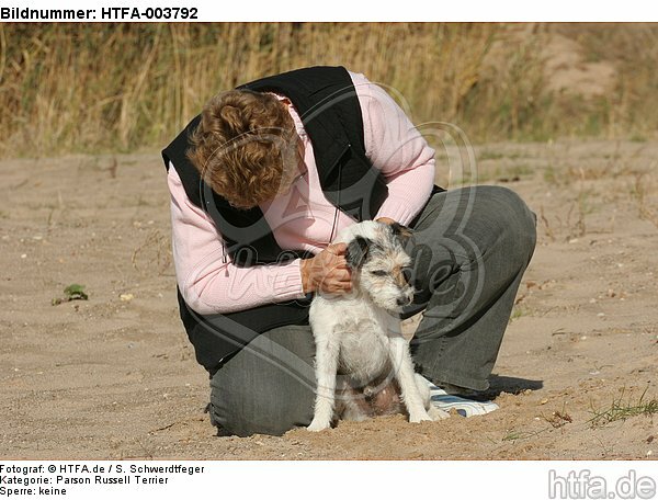 Parson Russell Terrier / HTFA-003792